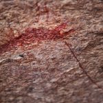 a close up of a rock with a red substance on it